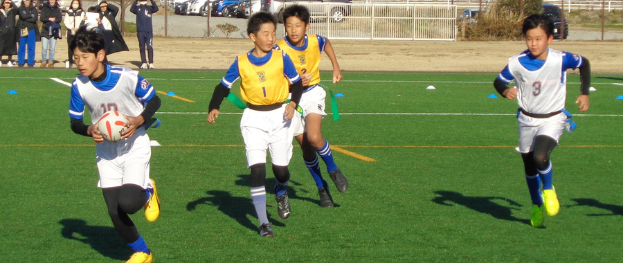img20241216071748912335.jpg
