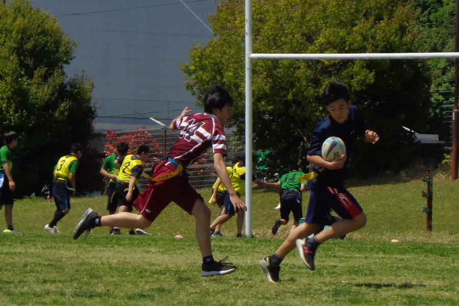 img20250430064224145557.jpg
